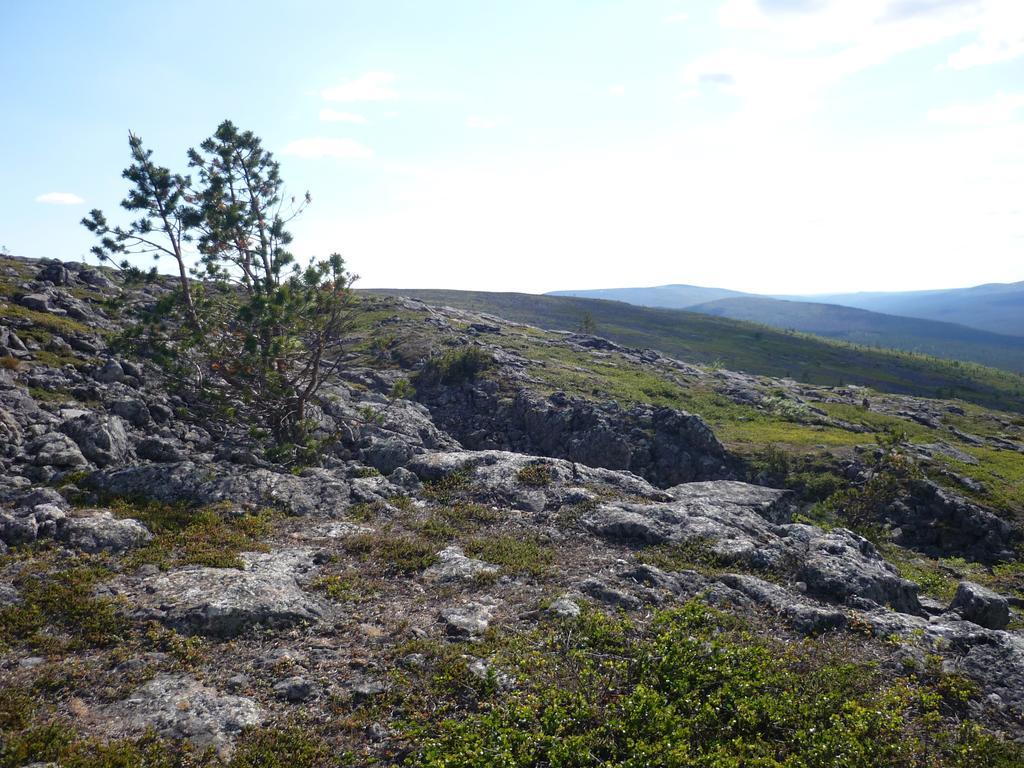 Lemmenjoki Lemmenjoen Lumo - Nature Experience & Accommodation מראה חיצוני תמונה
